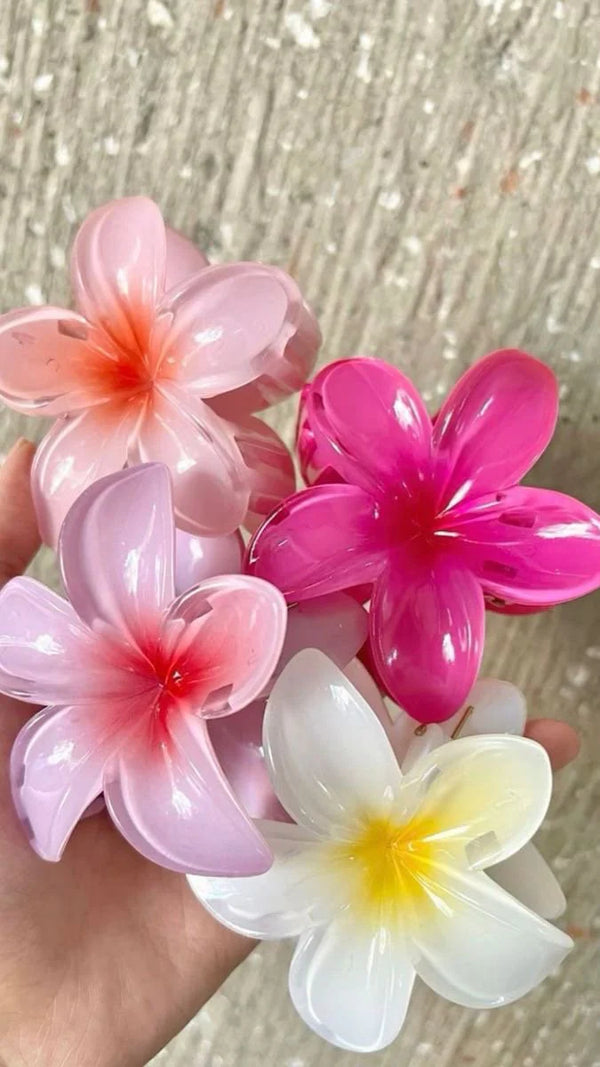 Caiman Flor Hawaiana